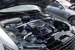 160382995-L.jpg