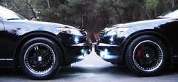 grifith5.jpg