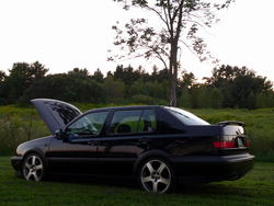 P1000137a.jpg