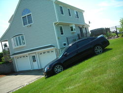 Picture11021-1.jpg