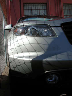 DSCN1574.jpg