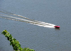 pic10.jpg