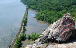 pic11.jpg