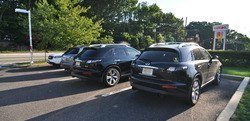 FX35_bearmt_6_2012_3.jpg