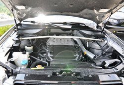 FX35_bearmt_6_2012_36.jpg
