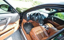 FX35_bearmt_6_2012_39.jpg