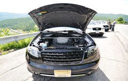 FX35_bearmt_6_2012_41.jpg