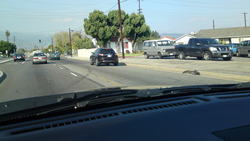 11142009050.jpg 11142009050.jpg