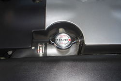 DSC01209-1.jpg