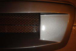 DSC01296.jpg