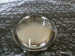 0521101142a.jpg