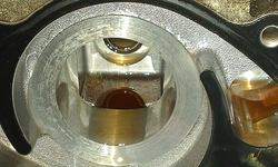 IMAG0171.jpg