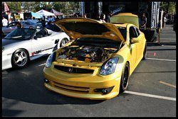 IMG_8784.jpg IMG_8784.jpg