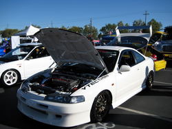 IMG_0093.jpg IMG_0093.jpg