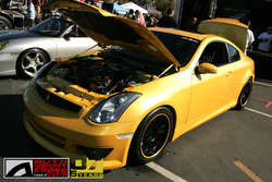 cl81-1.jpg cl81-1.jpg