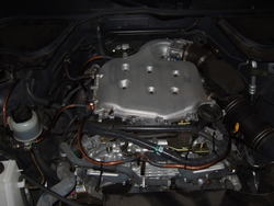 May52007018.jpg