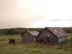 May52007248.jpg