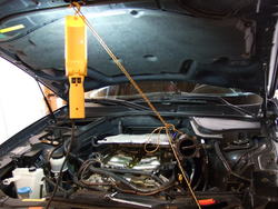 April162007013-1.jpg