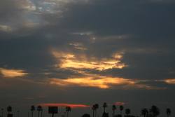 IMG_5351.jpg
