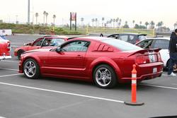 IMG_5368.jpg