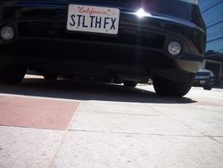 Picture007.jpg