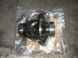Resized_PICT38181.jpg
