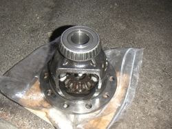 Resized_PICT38201.jpg