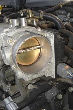 DSC01800.jpg DSC01800.jpg