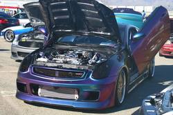 IMG_6510.jpg