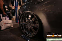 IMG_7811.jpg