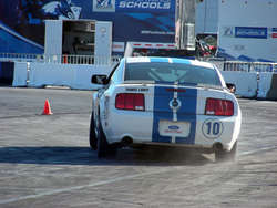 DSCN8154.jpg