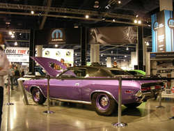 DSCN8254.jpg