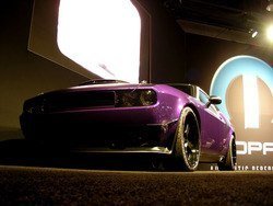 DSCN9371.jpg