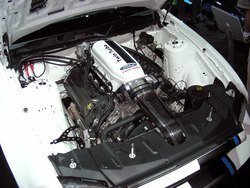 DSCN9425.jpg