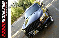 deecarp_DEC_07.jpg deecarp_DEC_07.jpg
