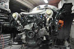 DSC_0981.jpg DSC_0981.jpg