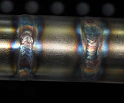 DSC_0421.jpg DSC_0421.jpg