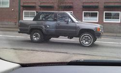 IMG00076-20100404-1406.jpg