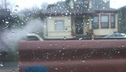 IMG00294-20100104-1432.jpg