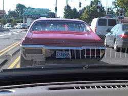 IMG00372-20100708-1727.jpg