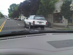 IMG00289-20100621-1611.jpg
