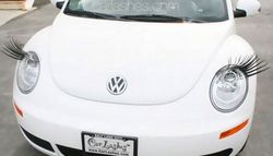 car_lashes_16.jpg