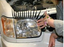 car_lashes_02.jpg