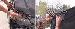 car_lashes_05.jpg