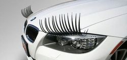 car_lashes_17.jpg