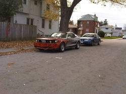 IMG00314-20101028-1638.jpg