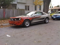 IMG00313-20101028-1638.jpg