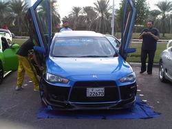 IMG00010-20101126-1558.jpg