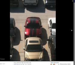 mustangstripes.jpg