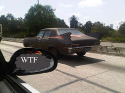 IMG00527-20110407-1143-1.jpg